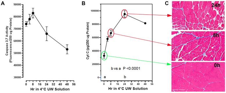https://cdn.ncbi.nlm.nih.gov/pmc/blobs/ac2e/10855741/6769cf6935d9/ijms-25-01609-g001.jpg