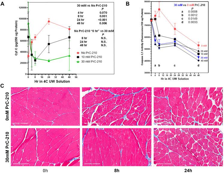 https://cdn.ncbi.nlm.nih.gov/pmc/blobs/ac2e/10855741/a3006bfc4bd8/ijms-25-01609-g003.jpg