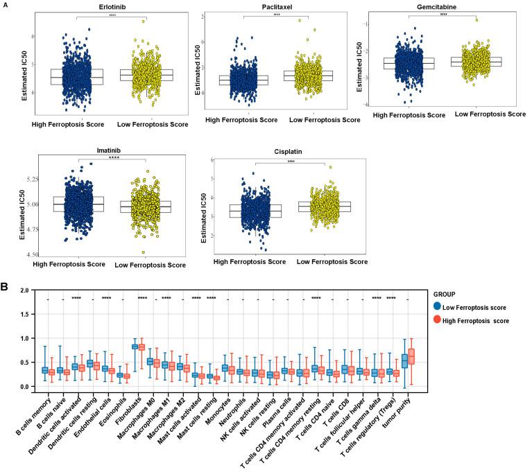 https://cdn.ncbi.nlm.nih.gov/pmc/blobs/ac32/9319237/1e44fc80e74f/cells-11-02207-g009.jpg
