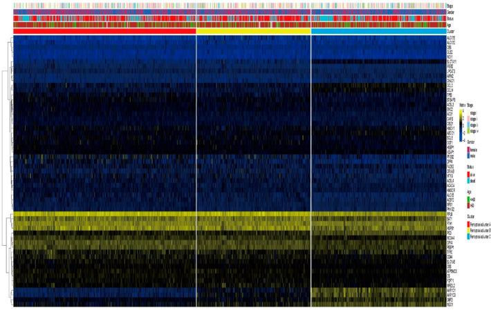 https://cdn.ncbi.nlm.nih.gov/pmc/blobs/ac32/9319237/4bac706ce690/cells-11-02207-g004.jpg