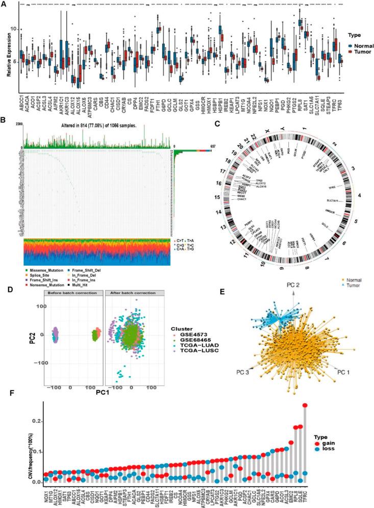 https://cdn.ncbi.nlm.nih.gov/pmc/blobs/ac32/9319237/547fb9095e92/cells-11-02207-g002.jpg