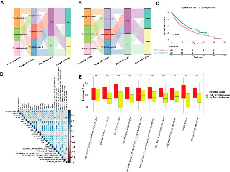 https://cdn.ncbi.nlm.nih.gov/pmc/blobs/ac32/9319237/87881116a2d0/cells-11-02207-g006.jpg