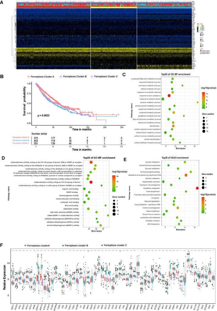 https://cdn.ncbi.nlm.nih.gov/pmc/blobs/ac32/9319237/a5f2118f869f/cells-11-02207-g005.jpg