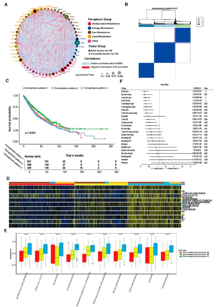 https://cdn.ncbi.nlm.nih.gov/pmc/blobs/ac32/9319237/d9d1780f012f/cells-11-02207-g003.jpg