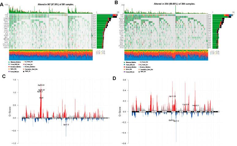 https://cdn.ncbi.nlm.nih.gov/pmc/blobs/ac32/9319237/ea59e09bb520/cells-11-02207-g008.jpg