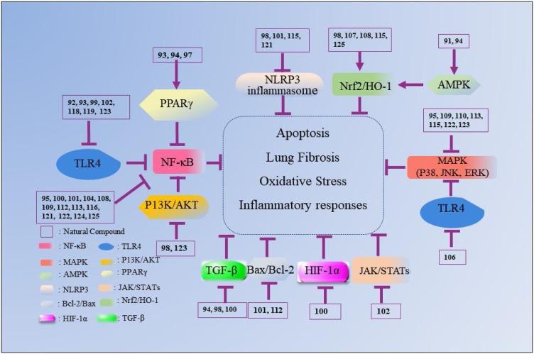 https://cdn.ncbi.nlm.nih.gov/pmc/blobs/ac34/7522693/08e8f93f5c82/gr5_lrg.jpg