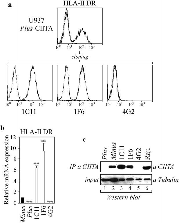 https://cdn.ncbi.nlm.nih.gov/pmc/blobs/ac3c/4835826/95a9e858d6ed/12967_2016_853_Fig2_HTML.jpg