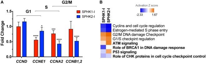 https://cdn.ncbi.nlm.nih.gov/pmc/blobs/ac3c/5883065/b9d89512dbb6/fimmu-09-00631-g005.jpg