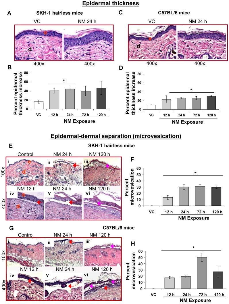 https://cdn.ncbi.nlm.nih.gov/pmc/blobs/ac3d/3885697/974ebc6be135/pone.0085402.g001.jpg