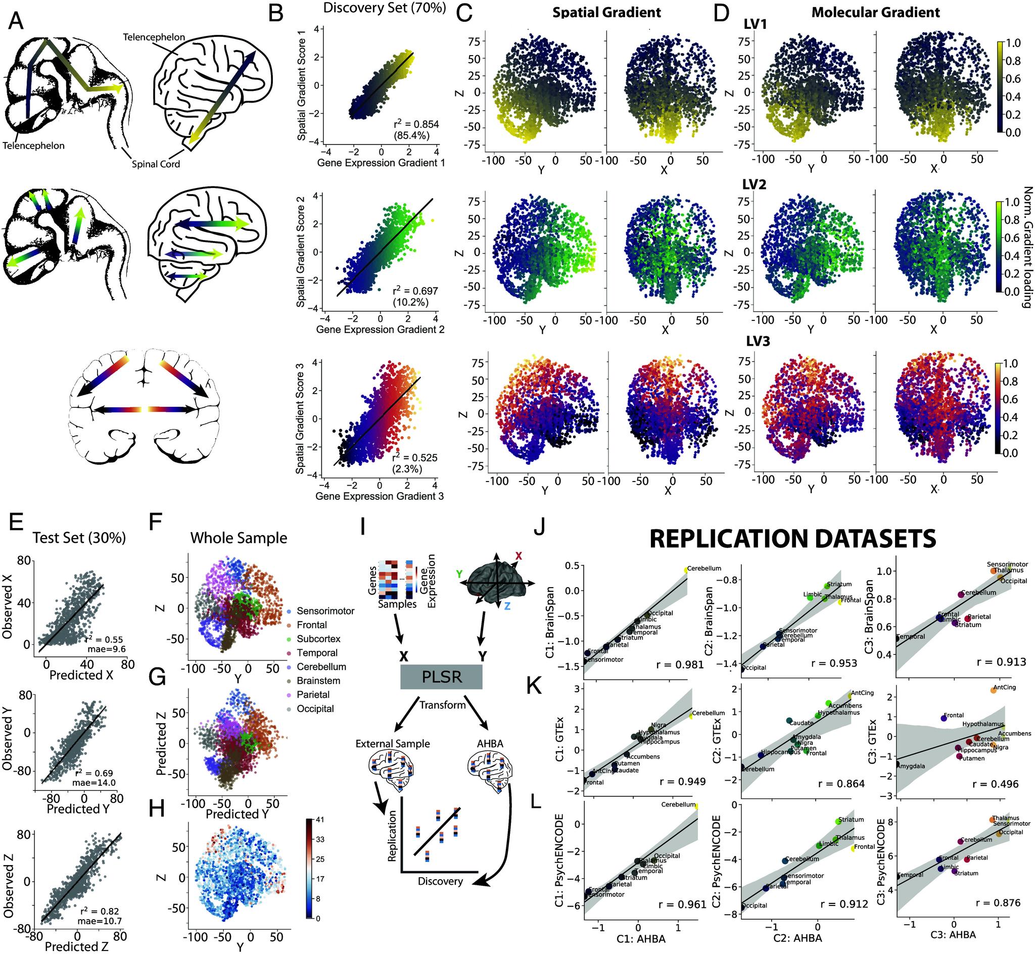 https://cdn.ncbi.nlm.nih.gov/pmc/blobs/ac3e/11194492/406772bf7055/pnas.2219137121fig01.jpg