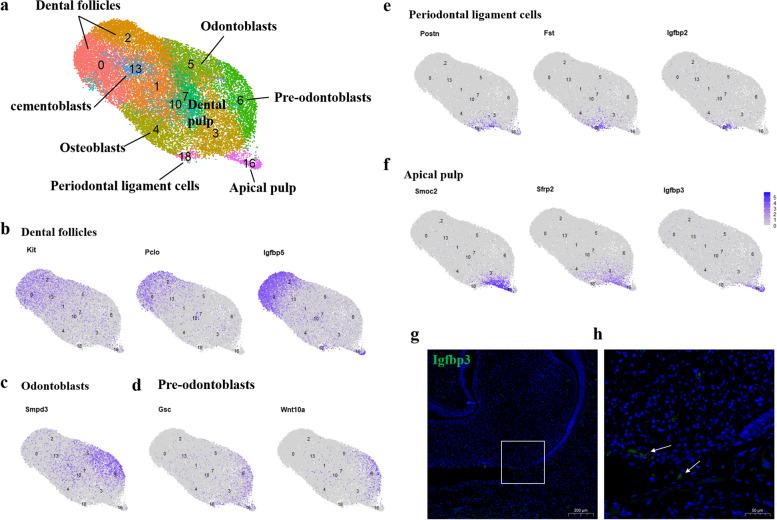 https://cdn.ncbi.nlm.nih.gov/pmc/blobs/ac3e/11389520/5e506074a83a/12915_2024_1996_Fig2_HTML.jpg