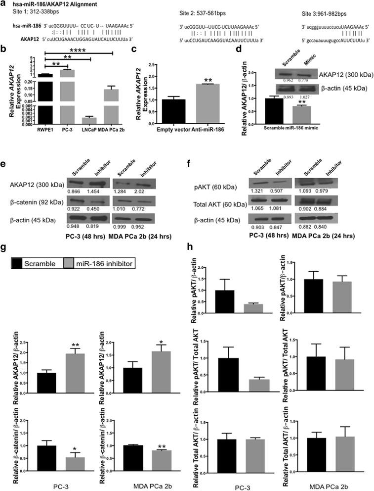 https://cdn.ncbi.nlm.nih.gov/pmc/blobs/ac3f/5899400/13911fc5d63e/12885_2018_4258_Fig5_HTML.jpg