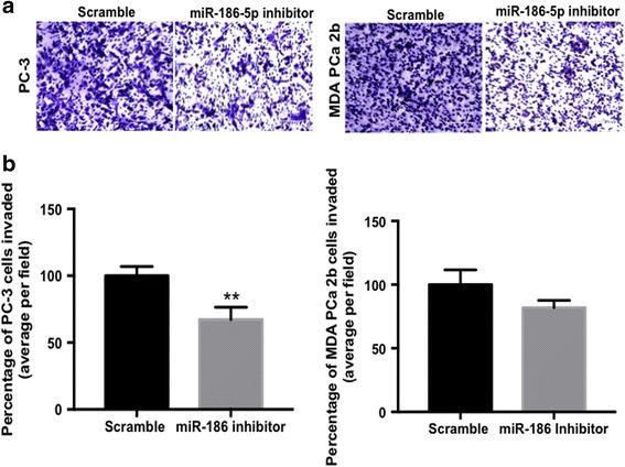 https://cdn.ncbi.nlm.nih.gov/pmc/blobs/ac3f/5899400/3a9116a0a7c9/12885_2018_4258_Fig4_HTML.jpg