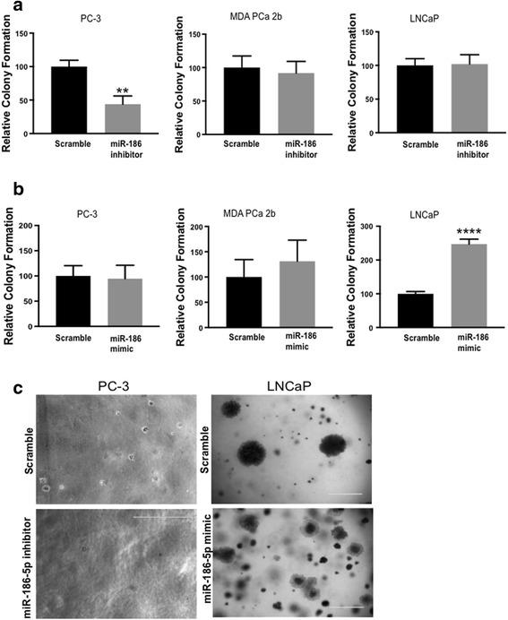 https://cdn.ncbi.nlm.nih.gov/pmc/blobs/ac3f/5899400/3bc4a67483f5/12885_2018_4258_Fig3_HTML.jpg
