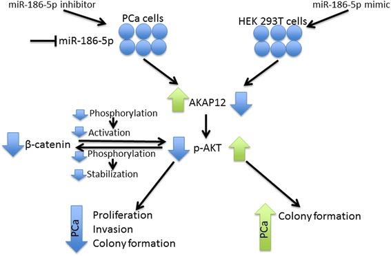 https://cdn.ncbi.nlm.nih.gov/pmc/blobs/ac3f/5899400/c6e61810119a/12885_2018_4258_Fig6_HTML.jpg