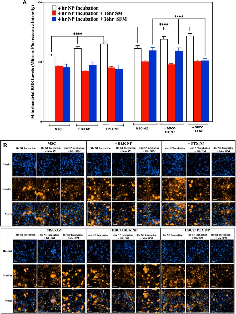 https://cdn.ncbi.nlm.nih.gov/pmc/blobs/ac3f/9898454/c4b851001eb9/gr7.jpg