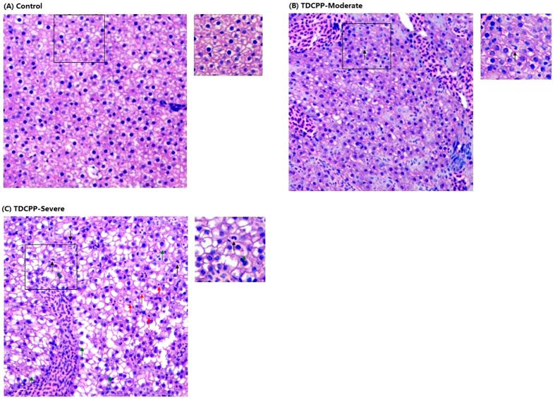 https://cdn.ncbi.nlm.nih.gov/pmc/blobs/ac44/4705469/3842f5f7b45d/srep19045-f3.jpg