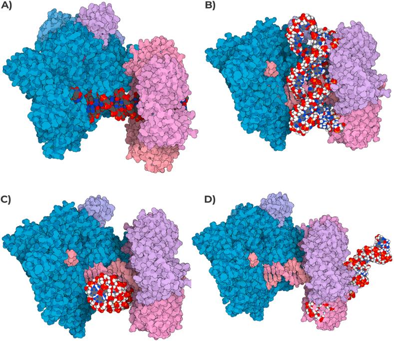 https://cdn.ncbi.nlm.nih.gov/pmc/blobs/ac46/11063440/1d486c7a38ef/gr6.jpg