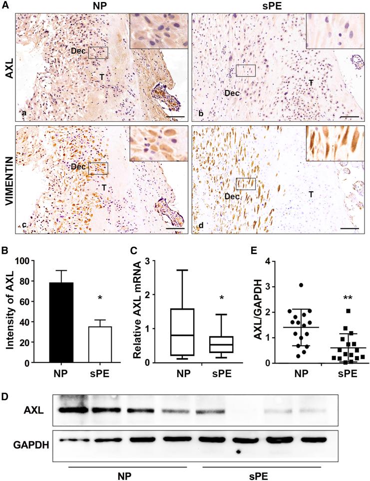 https://cdn.ncbi.nlm.nih.gov/pmc/blobs/ac46/11699228/0bdd17227f9c/gr6.jpg