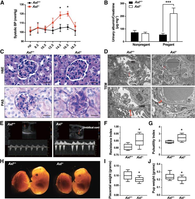 https://cdn.ncbi.nlm.nih.gov/pmc/blobs/ac46/11699228/1249d1d1254e/gr1.jpg