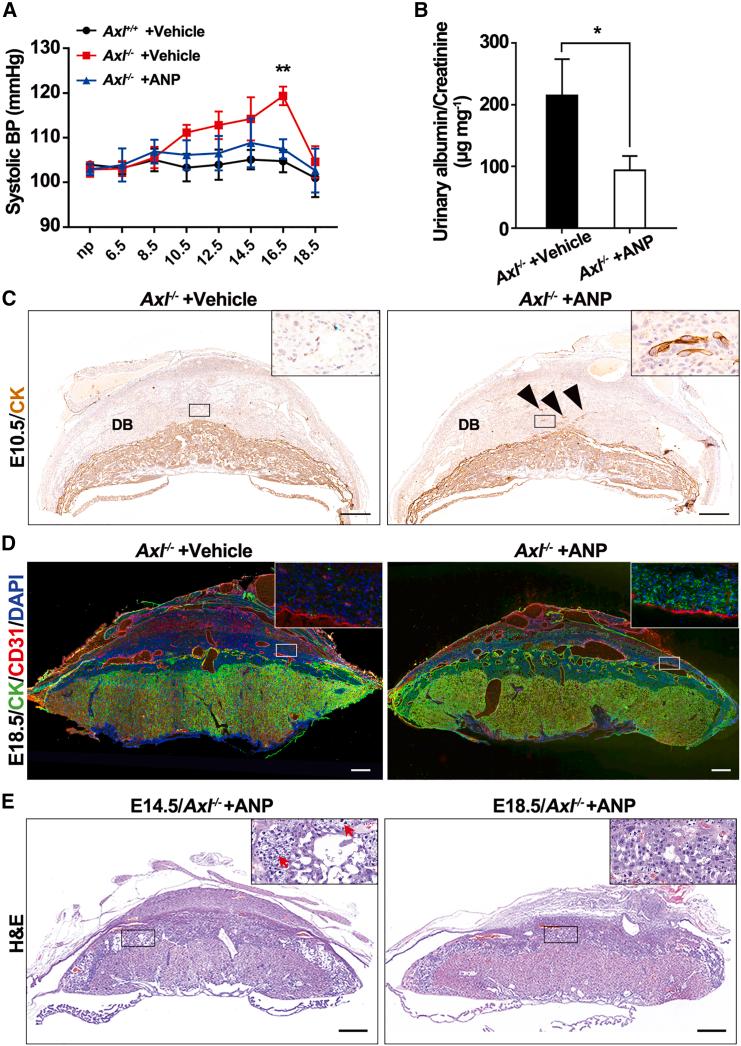 https://cdn.ncbi.nlm.nih.gov/pmc/blobs/ac46/11699228/51613e610942/gr5.jpg