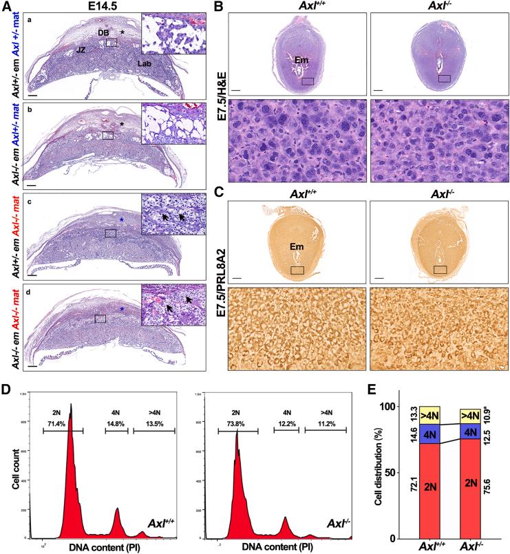 https://cdn.ncbi.nlm.nih.gov/pmc/blobs/ac46/11699228/70d67f0d7291/gr3.jpg
