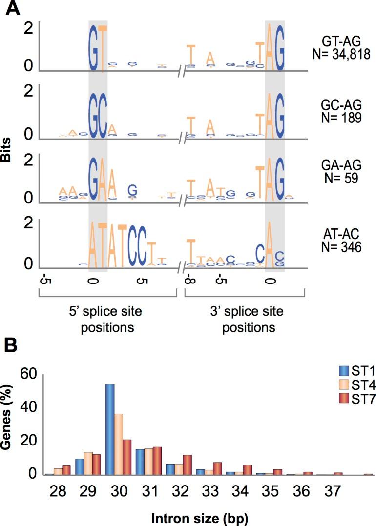 https://cdn.ncbi.nlm.nih.gov/pmc/blobs/ac46/5608401/1a391a2a89bd/pbio.2003769.g001.jpg