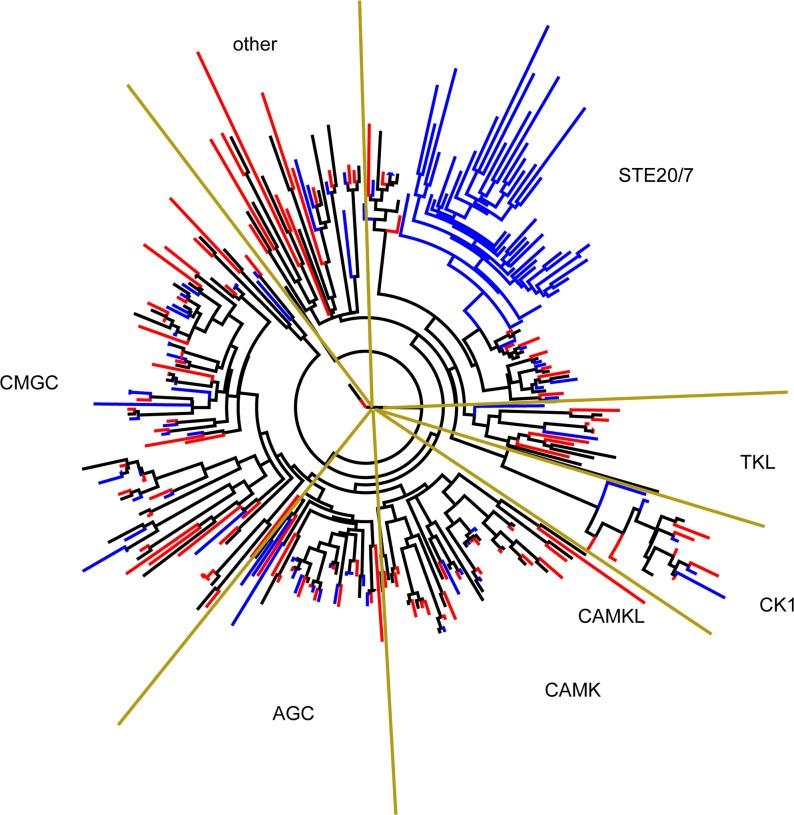 https://cdn.ncbi.nlm.nih.gov/pmc/blobs/ac46/5608401/62a2ce34657a/pbio.2003769.g004.jpg