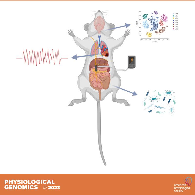 https://cdn.ncbi.nlm.nih.gov/pmc/blobs/ac47/11178265/a3dd842bc683/pg-00016-2023r01.jpg