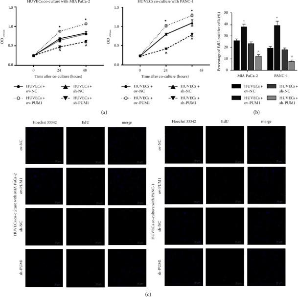 https://cdn.ncbi.nlm.nih.gov/pmc/blobs/ac48/11410436/db2b30b2641d/CJGH2022-9202531.003.jpg