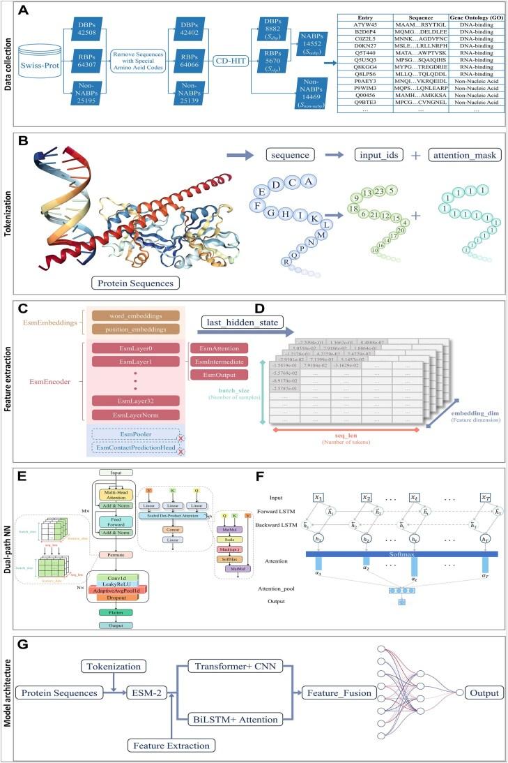 https://cdn.ncbi.nlm.nih.gov/pmc/blobs/ac4b/12086546/19400e800f39/lqaf058fig2.jpg