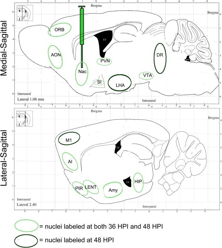 https://cdn.ncbi.nlm.nih.gov/pmc/blobs/ac4d/6958791/c5aed045c7ca/13041_2020_544_Fig6_HTML.jpg