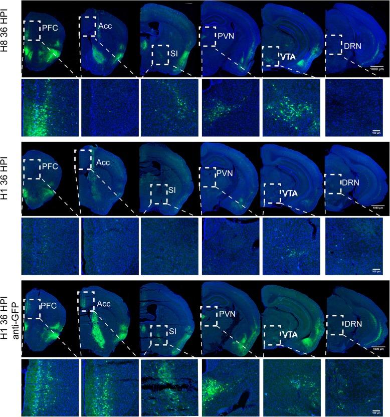 https://cdn.ncbi.nlm.nih.gov/pmc/blobs/ac4d/6958791/c774f2f6593d/13041_2020_544_Fig5_HTML.jpg