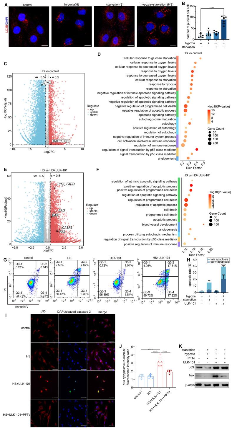https://cdn.ncbi.nlm.nih.gov/pmc/blobs/ac52/11667230/11b21a64a0e1/thnov15p0258g006.jpg