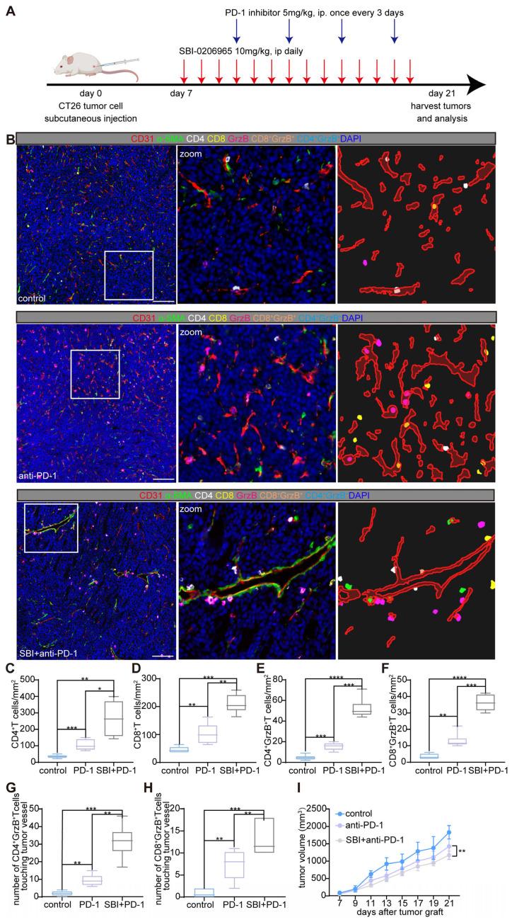 https://cdn.ncbi.nlm.nih.gov/pmc/blobs/ac52/11667230/14b0b03fb988/thnov15p0258g005.jpg