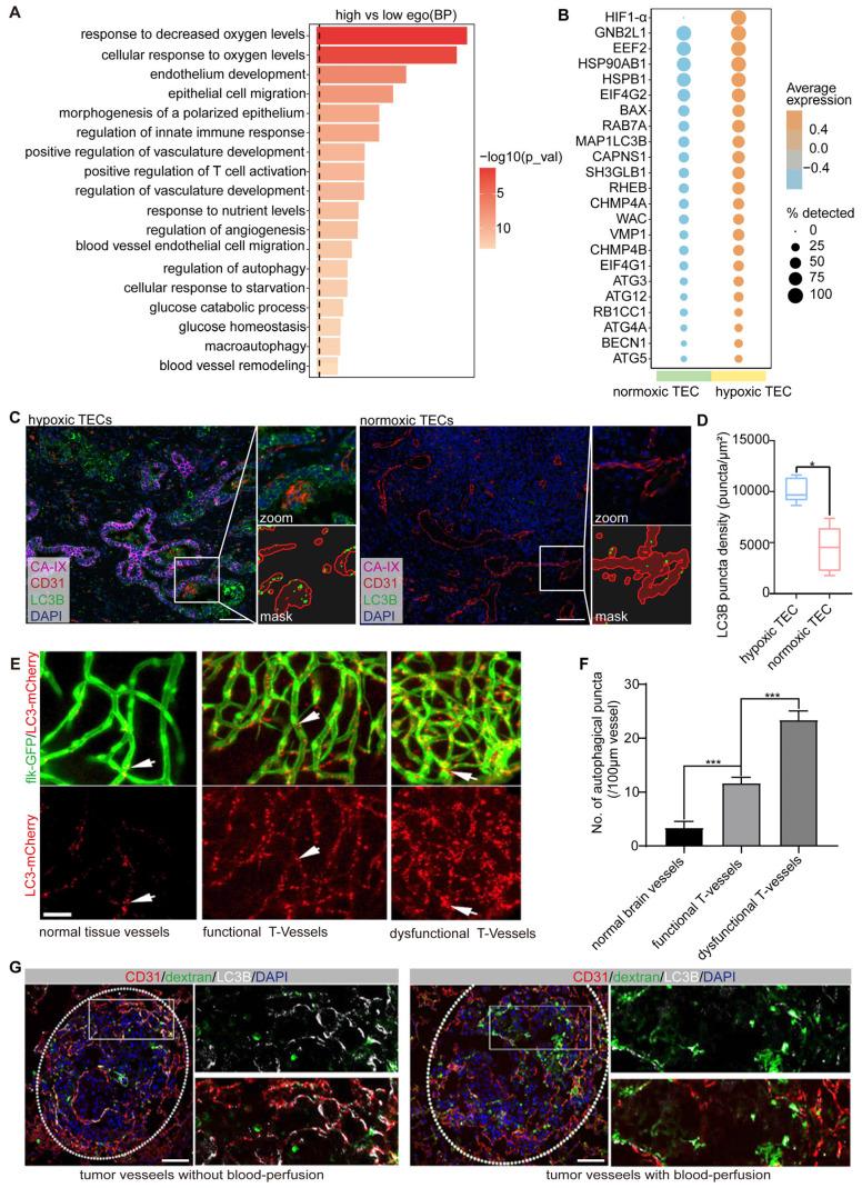 https://cdn.ncbi.nlm.nih.gov/pmc/blobs/ac52/11667230/4956f0eba3b7/thnov15p0258g002.jpg