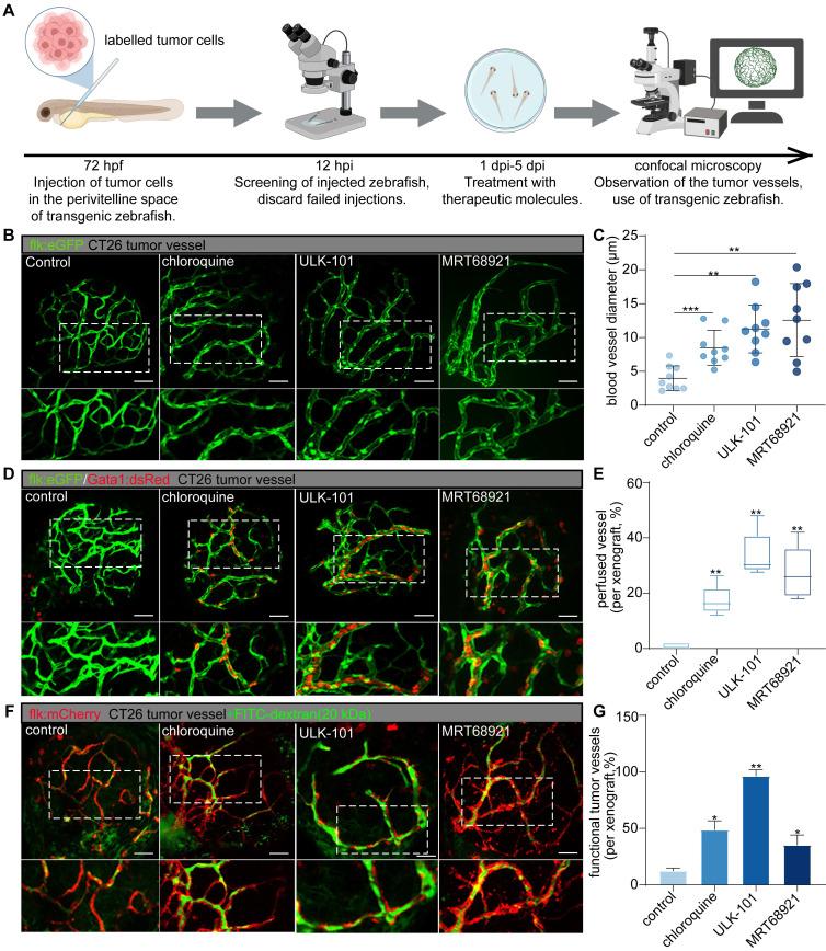 https://cdn.ncbi.nlm.nih.gov/pmc/blobs/ac52/11667230/609e631c6c11/thnov15p0258g003.jpg