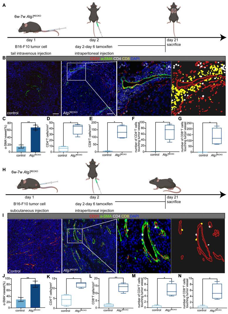 https://cdn.ncbi.nlm.nih.gov/pmc/blobs/ac52/11667230/c715998026fb/thnov15p0258g004.jpg