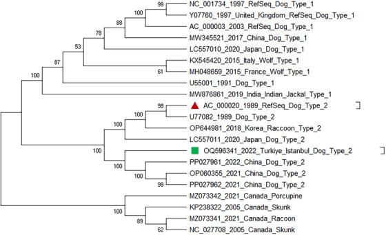 https://cdn.ncbi.nlm.nih.gov/pmc/blobs/ac52/11721475/4a6fd8e5304b/VMS3-11-e70163-g002.jpg