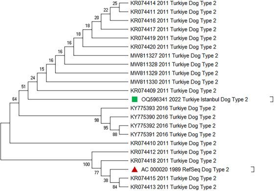 https://cdn.ncbi.nlm.nih.gov/pmc/blobs/ac52/11721475/d1bb54c6dbf1/VMS3-11-e70163-g001.jpg