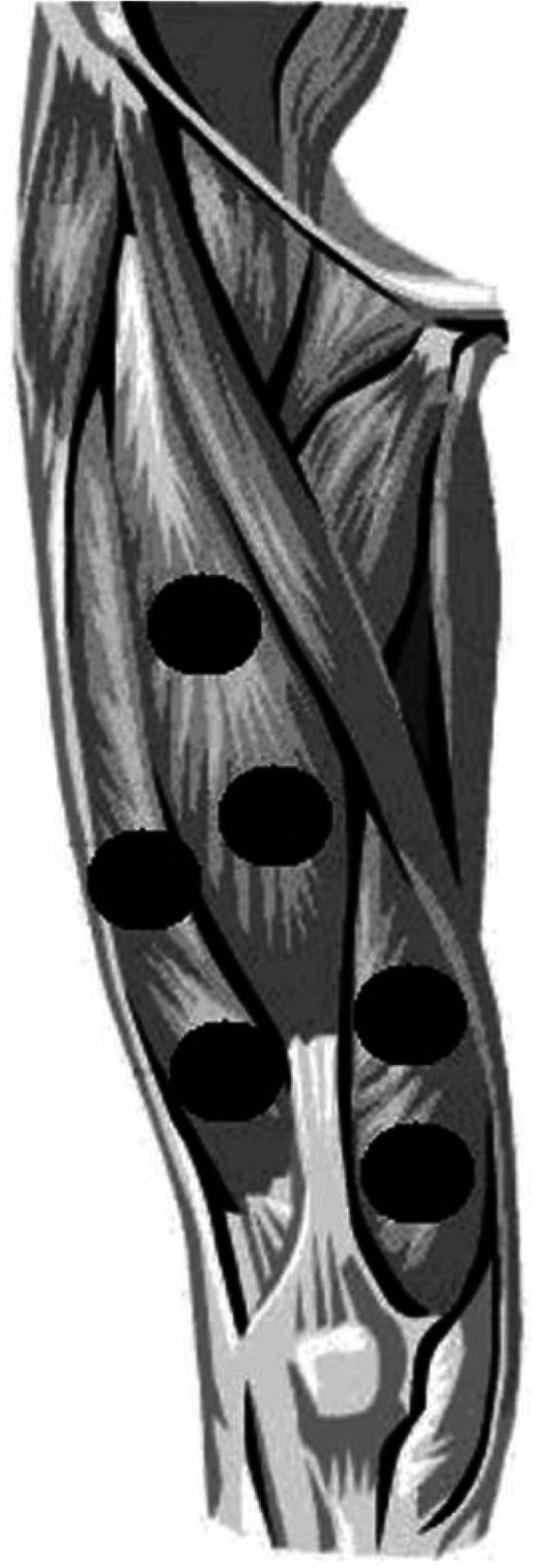 https://cdn.ncbi.nlm.nih.gov/pmc/blobs/ac53/7448464/0fc7d506f5f5/13102_2020_197_Fig2_HTML.jpg