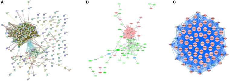 https://cdn.ncbi.nlm.nih.gov/pmc/blobs/ac53/7518102/107b682db9c2/fgene-11-530892-g004.jpg