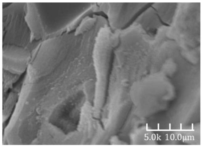 https://cdn.ncbi.nlm.nih.gov/pmc/blobs/ac55/12195315/e97b78309fdc/materials-18-02797-g010.jpg