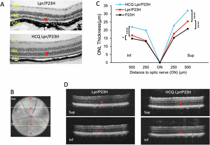 https://cdn.ncbi.nlm.nih.gov/pmc/blobs/ac56/12216854/d7c50375495e/41419_2025_7793_Fig2_HTML.jpg