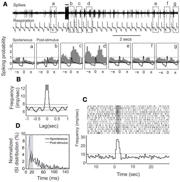https://cdn.ncbi.nlm.nih.gov/pmc/blobs/ac56/3778317/a002818d0625/fncir-07-00148-g0004.jpg