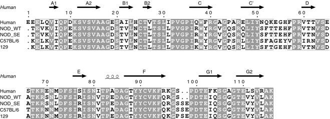 https://cdn.ncbi.nlm.nih.gov/pmc/blobs/ac56/4137956/754ef3f75a76/imm0143-0061-f1.jpg