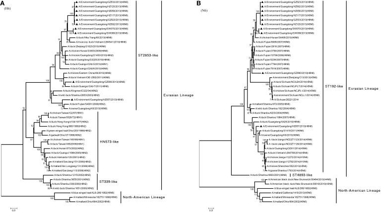 https://cdn.ncbi.nlm.nih.gov/pmc/blobs/ac56/4742543/343654427c68/fmicb-07-00065-g0002.jpg