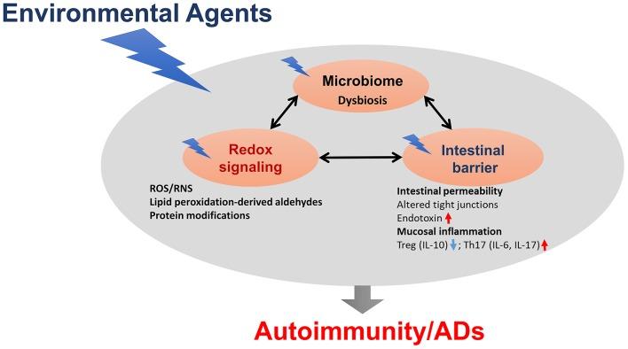https://cdn.ncbi.nlm.nih.gov/pmc/blobs/ac57/6970196/91f22bd6f5a8/fimmu-10-03094-g0002.jpg