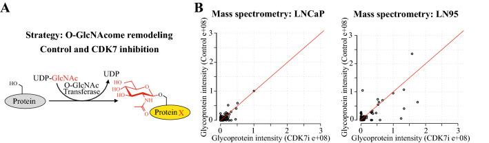 https://cdn.ncbi.nlm.nih.gov/pmc/blobs/ac58/10349716/2fd15e7cc51c/432_2022_4475_Fig3_HTML.jpg
