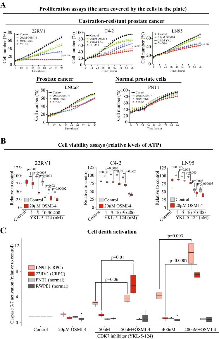https://cdn.ncbi.nlm.nih.gov/pmc/blobs/ac58/10349716/cd16148e0b39/432_2022_4475_Fig2_HTML.jpg